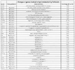 Figure imgf000081_0001