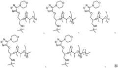 Figure BDA0002268634580001606