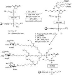 Figure imgf000196_0001