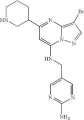 Figure US07119200-20061010-C01901