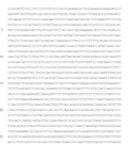 Figure imgf000038_0001