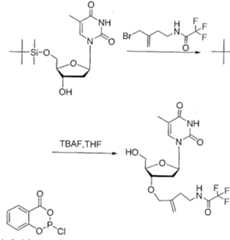 Figure imgf000590_0001