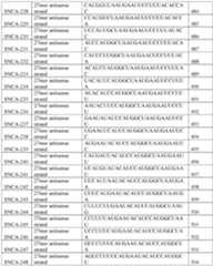 Figure imgf000190_0001