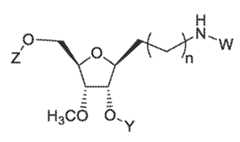 Figure imgf000024_0005