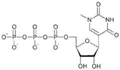 Figure imgf000081_0001