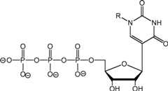 Figure AU2019202835A1_D0316