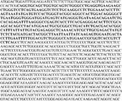Figure imgf000099_0001