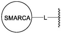 Figure BDA0003783300830000572