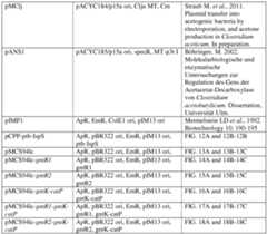 Figure imgf000122_0001