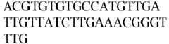 Figure imgb0530
