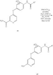 Figure US07459562-20081202-C00017