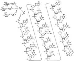 Figure BDA0002727901190001151