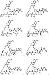 Figure imgf000004_0001