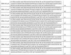 Figure imgf000063_0001