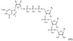 Figure imgf000094_0001