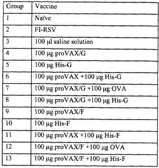 Figure imgf000045_0001