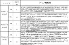 Figure 2023182705000005