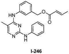 Figure BDA0001453135130002982