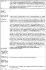 Figure imgf000027_0001