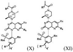 Figure FDA0002861043510000052