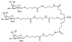 Figure 2023113843000061