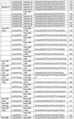 Figure imgf000057_0001