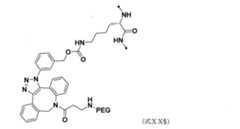 Figure JPOXMLDOC01-appb-C000217