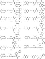 Figure imgf000337_0001