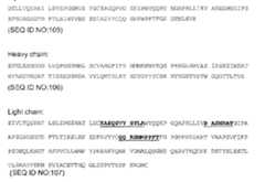 Figure imgf000062_0001