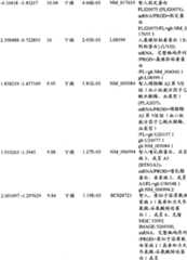 Figure BPA00001280678301361