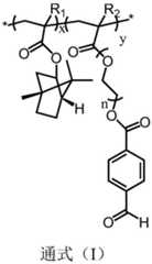 Figure FDA0003273235820000011