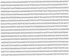 Figure 112020024997108-pat00017