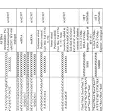 Figure imgf000558_0001