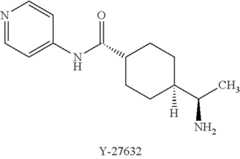 Figure US10253298-20190409-C00001