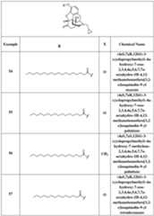 Figure imgf000034_0001