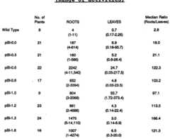 Figure imgf000027_0001