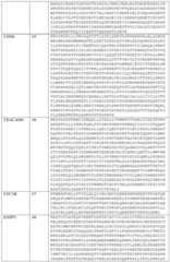 Figure BDA0002808063770000861