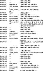 Figure BDA0000057170160000531