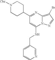 Figure US07119200-20061010-C01401
