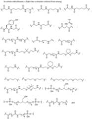 Figure imgf000423_0001