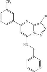 Figure US07119200-20061010-C01213