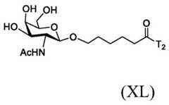 Figure BDA0003357312860003691