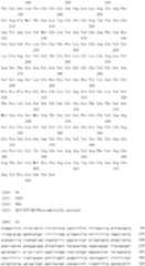 Figure IDA0000079231860000451