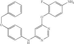 Figure US07459562-20081202-C00106