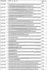 Figure G2007800067508D00231