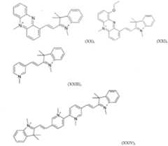 Figure imgf000019_0001