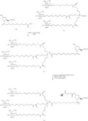 Figure US08106022-20120131-C00093