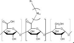 Figure FDA0000140098340000033