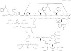 Figure US08278274-20121002-C00021