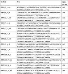 Figure BDA0000059233380000901